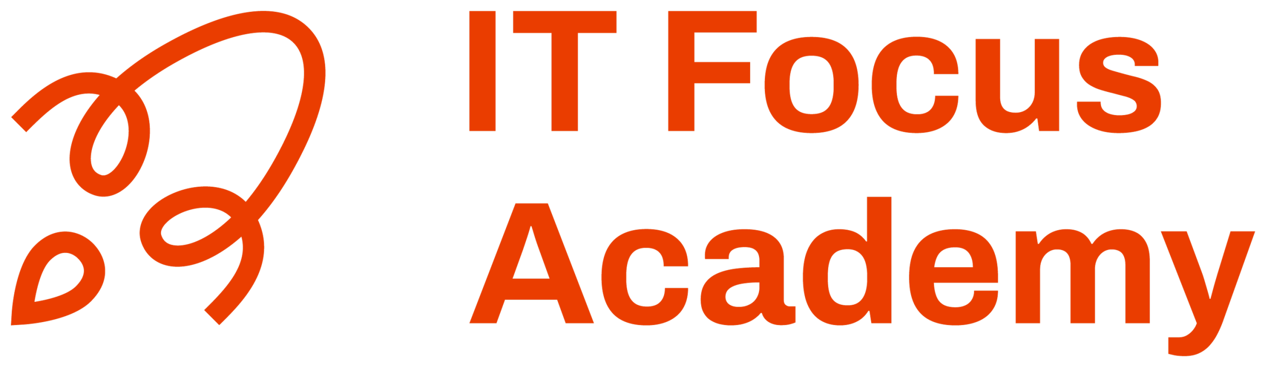 IT Focus Academy
